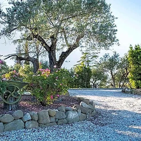 La Dolce Vista Bed & Breakfast Cannara